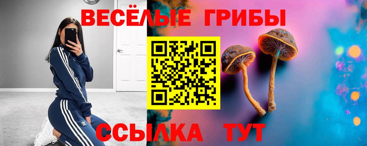 Галлюциногенные грибы Psilocybine cubensis  Вход с VPN  Псилоцибиновые грибы Psilocybe  Партизанск 